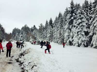 Topuk Yaylası Yürüyüş Parkuru