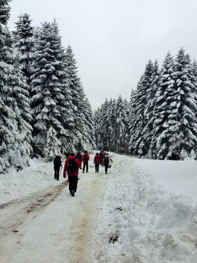 Topuk Yaylası Yürüyüş Parkuru