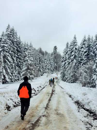 Topuk Yaylası Yürüyüş Parkuru