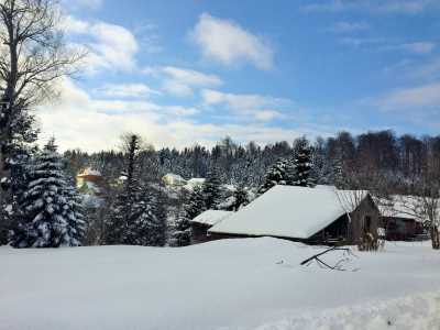 Topuk Yaylası Yürüyüş Parkuru