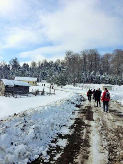 Topuk Yaylası Yürüyüş Parkuru