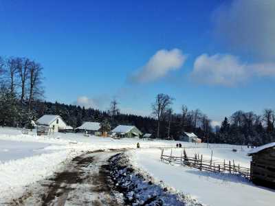 Topuk Yaylası Yürüyüş Parkuru