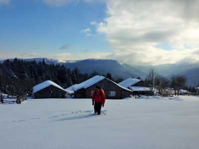 Topuk Yaylası Yürüyüş Parkuru