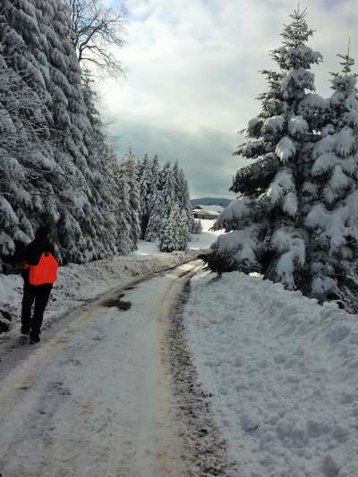 Topuk Yaylası Yürüyüş Parkuru