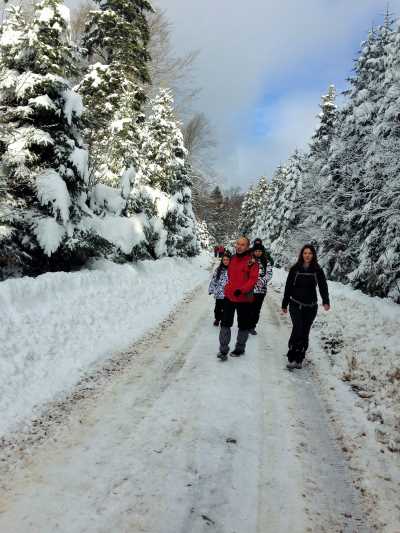 Topuk Yaylası Yürüyüş Parkuru