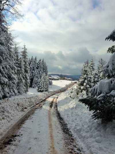 Topuk Yaylası Yürüyüş Parkuru