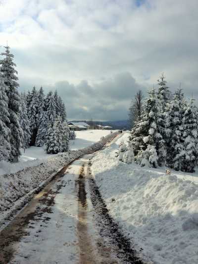 Topuk Yaylası Yürüyüş Parkuru