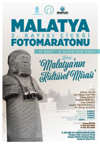 Kayısı Çiçeği Yarışması