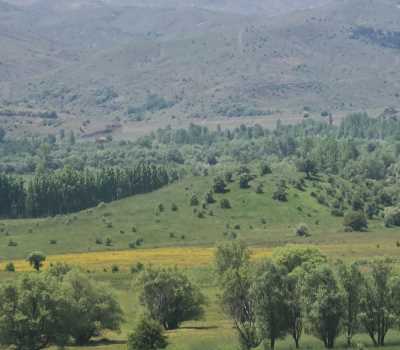 Hilindir (Çitli) Höyük