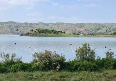 Yarımada (Hazar Gölü)