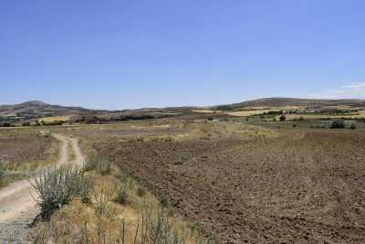 Değirmendüzü Höyük