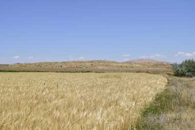 Değirmendüzü Höyük