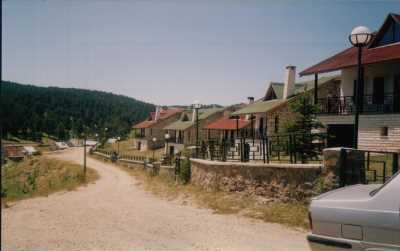 KOYULHİSAR EĞRİÇİMEN YAYLASI