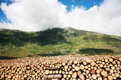 Yeşilce-Topçam Yaylaları/Mesudiye
