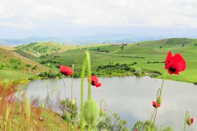 Hasanlar Baraj Gölü