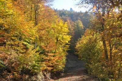 Yılançatı Kanyonu