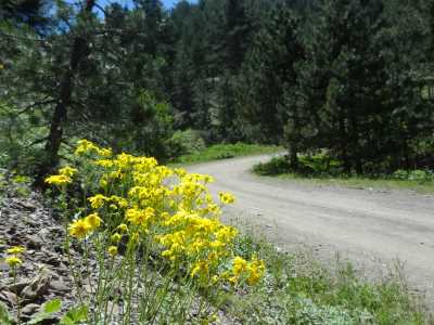 Pınargözü Mağarası