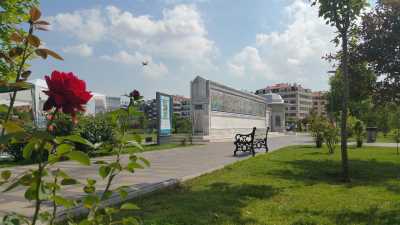 Dede Korkut Anıt Duvarı