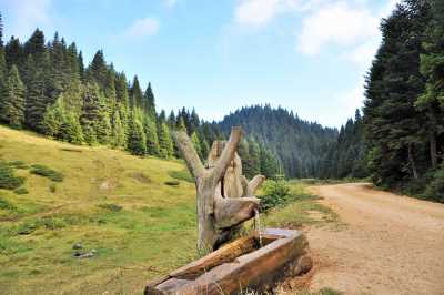 Kütüklü (Yeniyurt) Yaylası