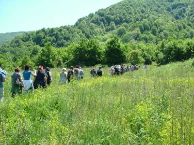 Aydınpınar Şelaleleri Tabiat Parkı