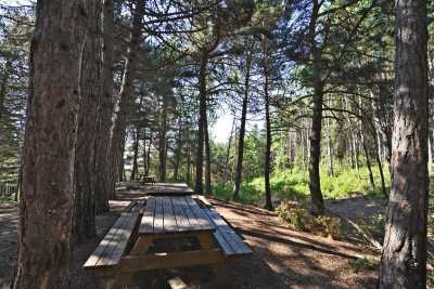 Çatak Tabiat Parkı