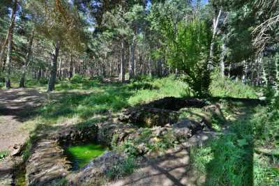 Çatak Tabiat Parkı
