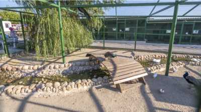 Çorlu Mini Hayvanat Bahçesi