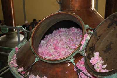 Gönen İlçesi, Güneykent Beldesi