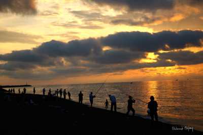 Olta Balıkçılığı