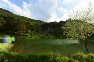 Limni Gölü Tabiat Parkı