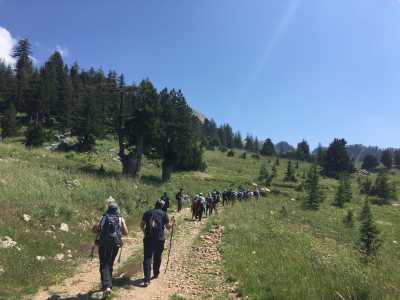 Doğa Yürüyüşü (Trekking)
