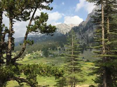 Doğa Kültür Turizmi Bitki (Flora) Gözlemciliği